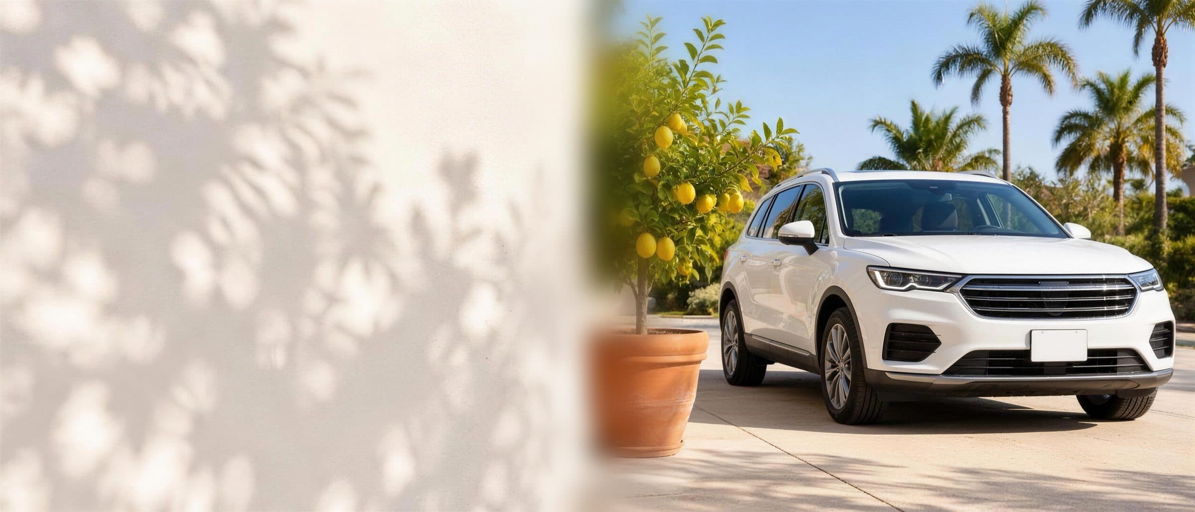 A white SUV parked beside a potted lemon tree on a sunny driveway
